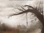 “The Conjuring” – A Paranormal Thriller That Will Shake You ⭐⭐⭐⭐