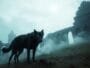 Black Dog Sightings in English Folklore