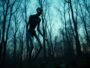 The Enfield Monster – Unexplained Creature (United States)