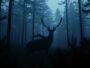 The Jersey Devil – Legend of the Pine Barrens (United States)