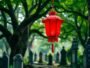 Red Lantern of Bukit Brown (Chinese)
