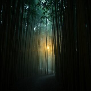 The Lantern‑Boy – A Childhood Account from Ipoh