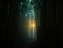 Eerie Echoes in the Bamboo Grove – A Malayan Spirit Story